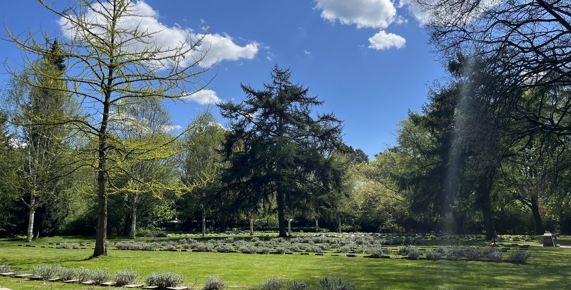 Ansicht der Internationalen Kriegsgräberstätte des Ohlsdorfer Friedhofs mit Blick auf Grabsteine, Bäume und Gedenkmauer