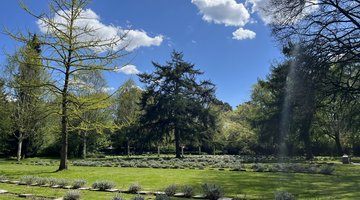 Ansicht der Internationalen Kriegsgräberstätte des Ohlsdorfer Friedhofs mit Blick auf Grabsteine, Bäume und Gedenkmauer